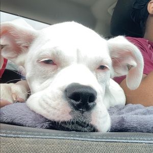 Meet your Posher, Joseph